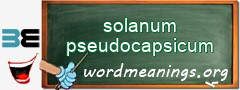 WordMeaning blackboard for solanum pseudocapsicum